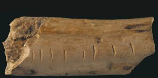 Compter : depuis quand savons nous le faire ? Depuis-quand-savons-nous-compter-