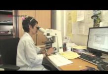 Etablir le diagnostic du lymphome Lymphome-etablir-un-diagnostic-Allo-Docteurs