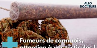 Le cannabis est-il bon pour les testicules ? Quiz-le-cannabis-est-il-bon-pour-les-testicules-AlloDocteurs