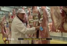 La viande à Rungis Une-journee-a-Rungis-la-viande