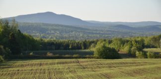 Pourquoi partir en séjour à la ferme ? Pourquoi ne pas tenter le séjour à la ferme ?