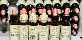 Les Fleurs de Bach : retrouver la sérénité en douceur Les Fleurs de Bach : retrouver la sérénité en douceur