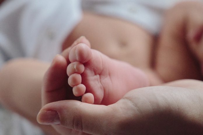 Maternités : de la grossesse à la naissance