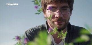 Le Sundgau gourmand Epicerie-fine-Le-Sundgau