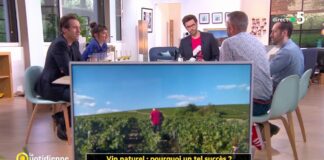Pourquoi un tel succès pour le vin naturel ? Vin-naturel-pourquoi-un-tel-succes-