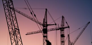 Tout savoir sur les grues en 2022 Tout savoir sur les grues en 2022