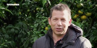 La côte orientale corse gourmande Epicerie-fine-Cote-orientale-corse