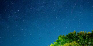 Comment limiter la pollution lumineuse dans le jardin ? Comment limiter la pollution lumineuse dans le jardin ?