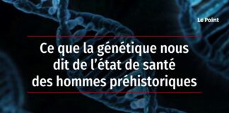 La génétique nous en dit beaucoup sur la santé des hommes préhistoriques Ce-que-la-genetique-nous-dit-de-letat-de-sante-des-hommes-prehistoriques