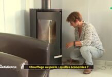 Quelles économies avec un chauffage au poêle ? Chauffage-au-poele-quelles-economies-La-Quotidienne