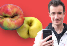 Comment et pourquoi les fruits moches sont écartés des rayons Comment-les-fruits-moches-sont-bannis-des-rayons