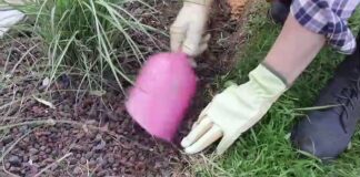 Comment délimiter les massifs avec une bordure ? DIY-Jardin-Delimiter-les-massifs-par-une-bordure