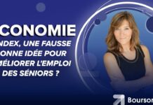Une fausse bonne idée l’index pour améliorer l’emploi des séniors ? Lindex-une-fausse-bonne-idee-pour-ameliorer-lemploi-des-seniors-