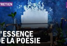 L’essence de la poésie : la beauté du geste Poesie-pour-la-beaute-du-geste