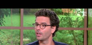 Les bienfaits de l’aloe vera dans les produits de beauté Tout-savoir-sur-les-produits-de-beaute-a-laloe-vera