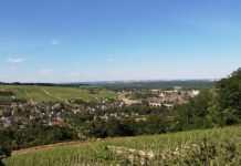 Le Sancerrois gourmand Le Sancerrois gourmand