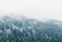 Sur les pistes du Massif des Vosges Sur les pistes du Massif des Vosges