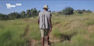 Une randonnée à Soweto en Afrique du Sud Afrique-du-Sud-une-randonnee-a-Soweto