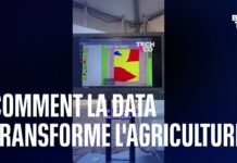 Transformer l’agriculture grâce à la data Comment-la-data-peut-transformer-lagriculture