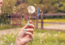 Comment surmonter les allergies aux pollens ? Comment surmonter les allergies aux pollens ?