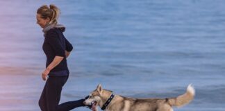 Le canicross : courir avec son chien Le canicross : courir avec son chien