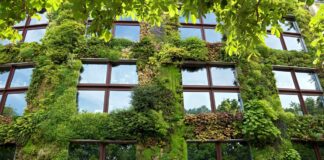 Un mur végétalisé pour faire des économies d’énergies Faites-des-economies-denergie-grace-au-mur-vegetalise