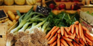 Frais, surgelés, conserve : quels sont les meilleurs légumes ? Frais, surgelés, conserve : quels sont les meilleurs légumes ?