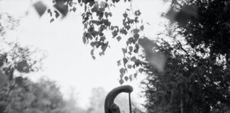 Pompe de relevage : fonctionnement et utilité Pompe de relevage : fonctionnement et utilité