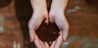 Un lombricomposteur pour directement composter dans son logement Un lombricomposteur pour directement composter dans son logement