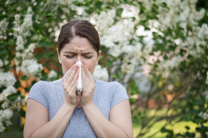 Allergie-au-pollen-darbre-quels-sont-les-arbres-les-plus-a-risque-