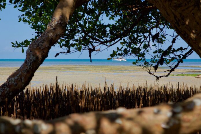 Mozambique : le Parc national de Maputo