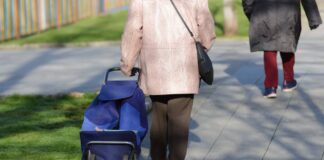 Fini les sacs : le choix du chariot pour faire vos courses Fini les sacs : le choix du chariot pour faire vos courses