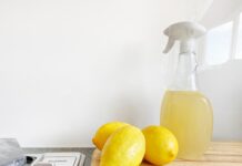 Le vinaigre, un insecticide puissant Le vinaigre, un insecticide puissant