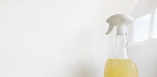 Le vinaigre, un insecticide puissant Le vinaigre, un insecticide puissant