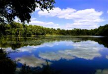 Que faire et que voir en Sologne ? Que faire et que voir en Sologne ?