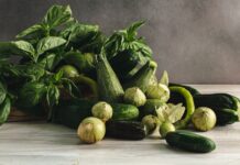 Comment faire pousser des courgettes ? Comment faire pousser des courgettes ?