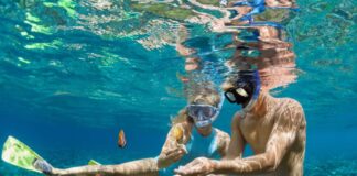 Plongée sous-marine ou snorkeling, lequel choisir pour observer les fonds marins ? Plongée sous-marine ou snorkeling, lequel choisir pour observer les fonds marins ?
