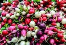 Remède miracle, le radis noir ? Remède miracle, le radis noir ?