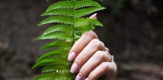 Vernis semi-permanent vegan : une révolution éthique et esthétique Vernis semi-permanent vegan : une révolution éthique et esthétique