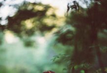 Influence du coaching psychologie sur notre bien-être Influence du coaching psychologie sur notre bien-être