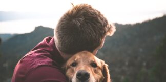 Comment réhabituer ses animaux au rythme de la rentrée ? Comment réhabituer ses animaux au rythme de la rentrée ?