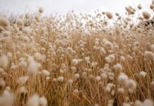 TOP 9 des matières écologiques TOP 9 des matières écologiques