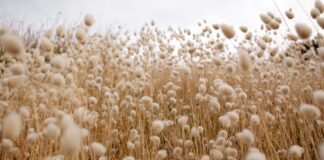 TOP 9 des matières écologiques TOP 9 des matières écologiques