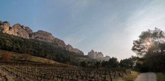 Découvrir les Dentelles de Montmirail Découvrir les Dentelles de Montmirail