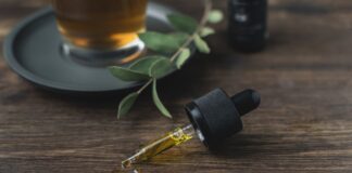 Eloigner les mouches : quelles huiles essentielles utiliser ? Eloigner les mouches : quelles huiles essentielles utiliser ?