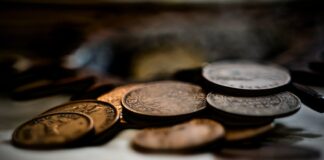 Collectionner les pièces rares: un passe-temps de valeur Collectionner les pièces rares: un passe-temps de valeur