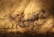 De Chauvet à Lascaux : sur les parois des grottes, bien plus que des scènes de chasse De Chauvet à Lascaux : sur les parois des grottes, bien plus que des scènes de chasse