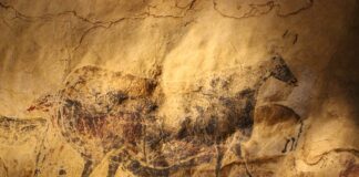 De Chauvet à Lascaux : sur les parois des grottes, bien plus que des scènes de chasse De Chauvet à Lascaux : sur les parois des grottes, bien plus que des scènes de chasse