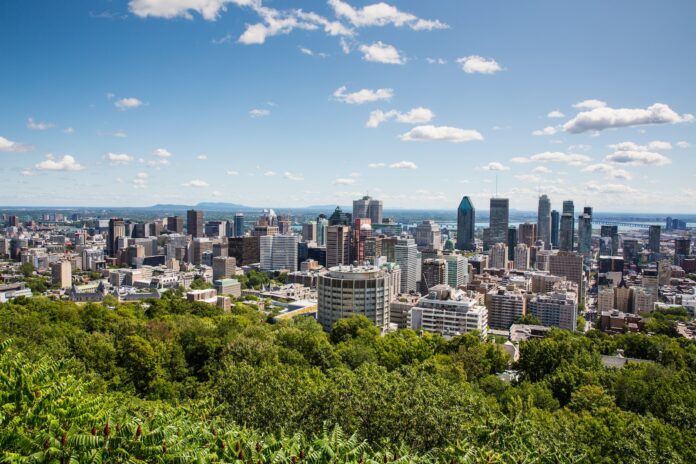 Découvrir la nature à Montréal