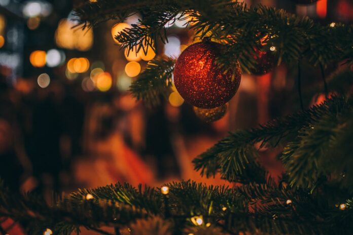 Les secrets des sapins de Noël : choisissez le parfait pour les fêtes